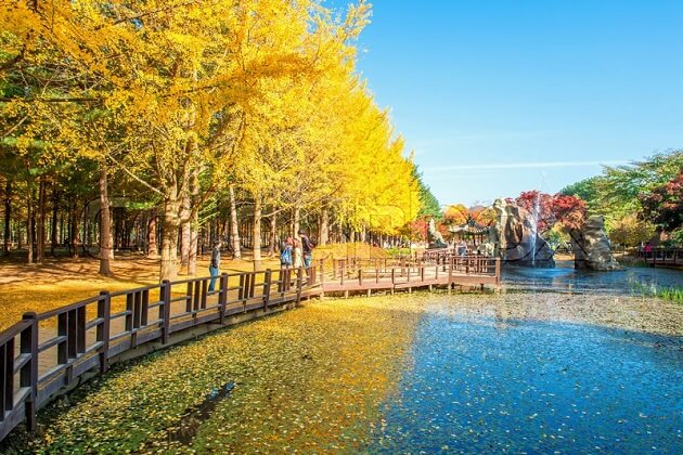 Nami Island - east asia tours