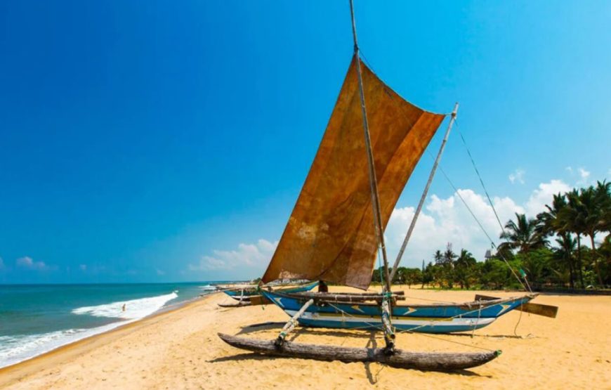 Sri Lanka Classic Tour – 8 Days