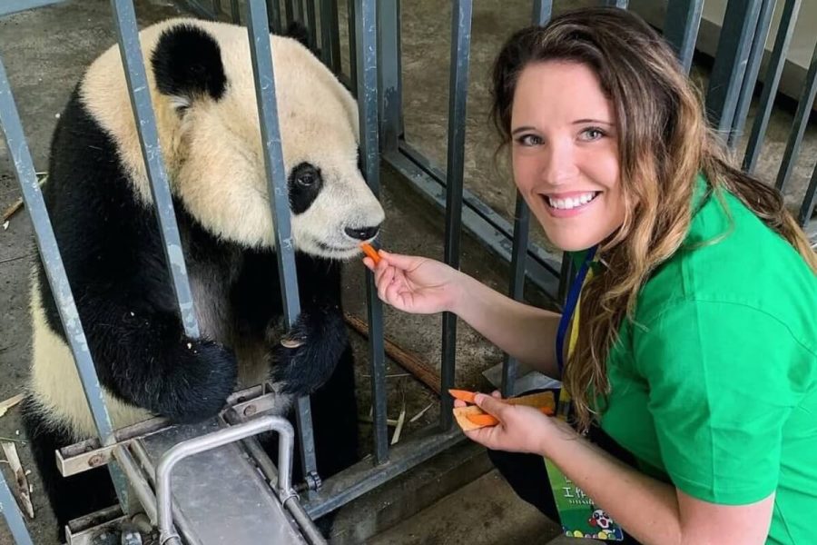 Panda Tour in China