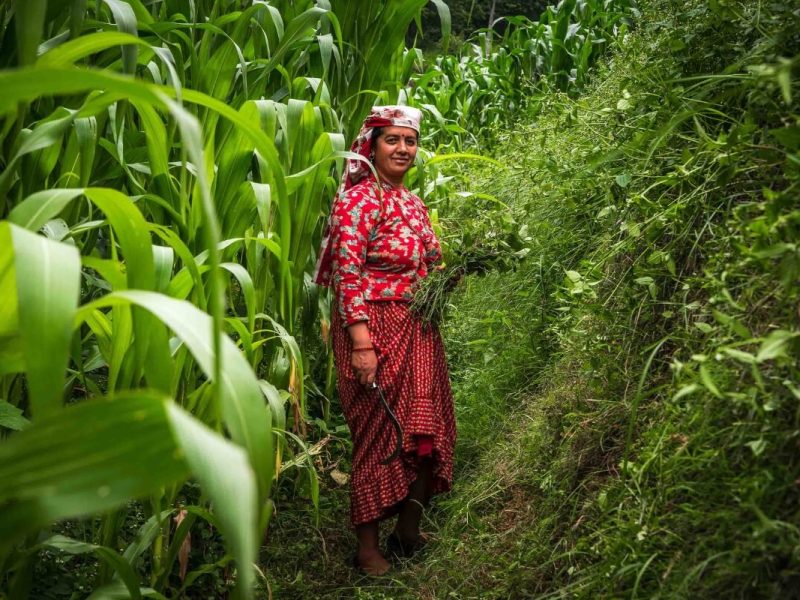 People in Panauti Nepal - multi country tours asia