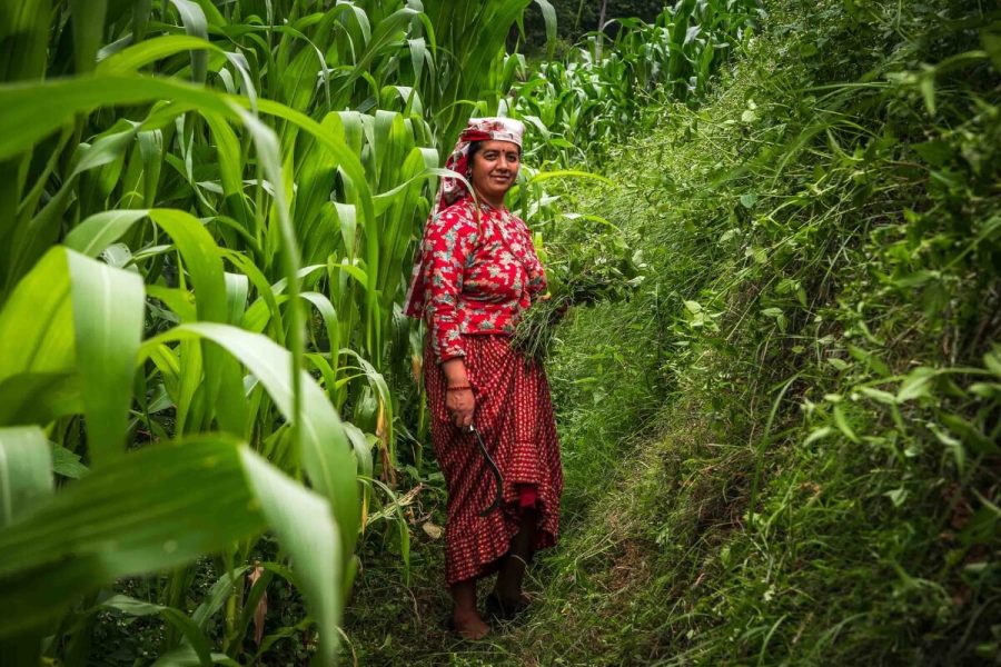 People in Panauti Nepal - multi country tours asia