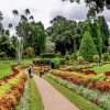 Peradeniya Botanical Garden
