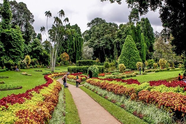 Peradeniya Botanical Garden