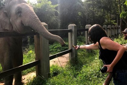 Phnom Tamao Wildlife Rescue Centre