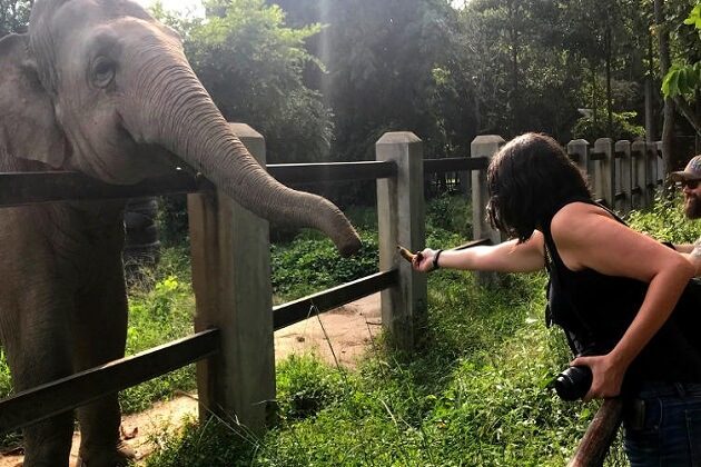 Phnom Tamao Wildlife Rescue Centre