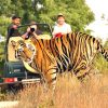 Ranthambore Tiger Reserve