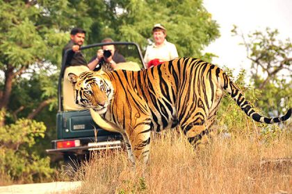 Ranthambore Tiger Reserve