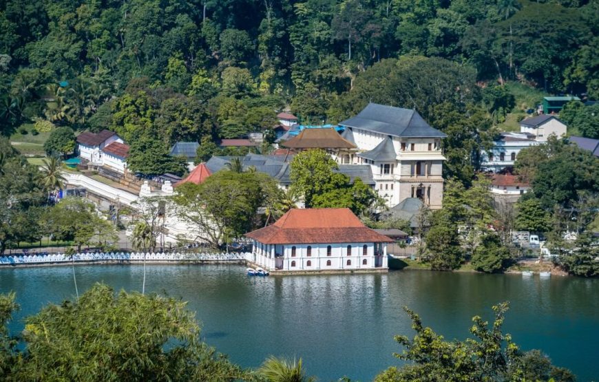 Epic History and Pristine Beaches in Sri Lanka – 16 Days
