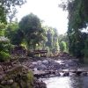 Sembahe River - sumatra jungle tours