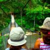 Sumatra Jungle Adventure – Indonesia vacation packages