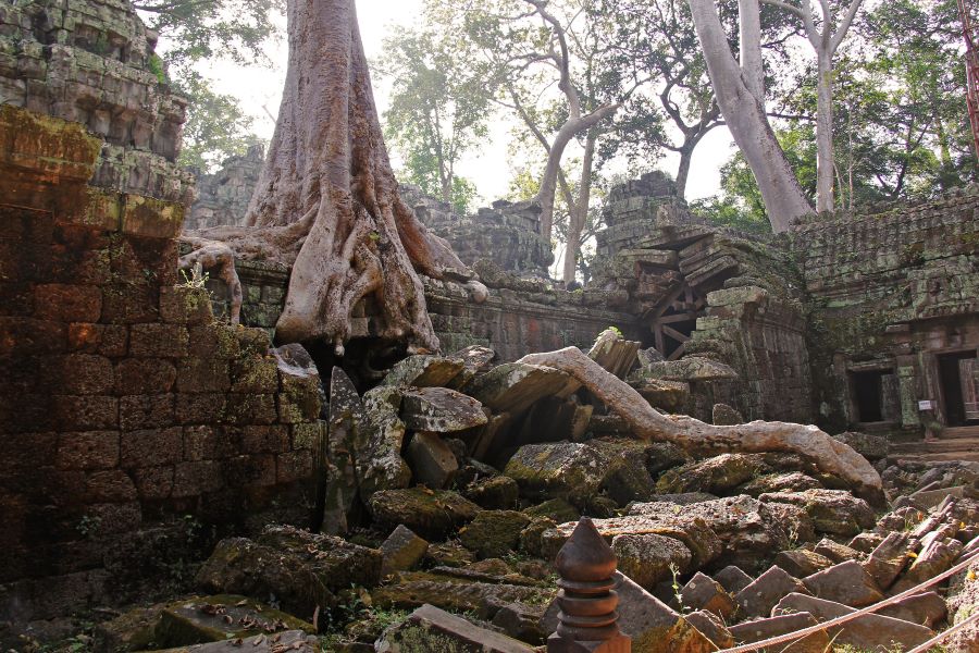 Ta Prohm Temple siem reap cambodia