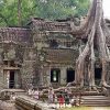 Ta Prohm - indochina family tour