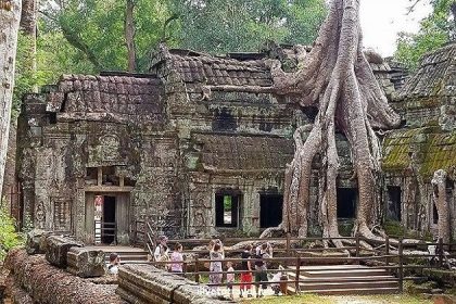 Ta Prohm - indochina family tour