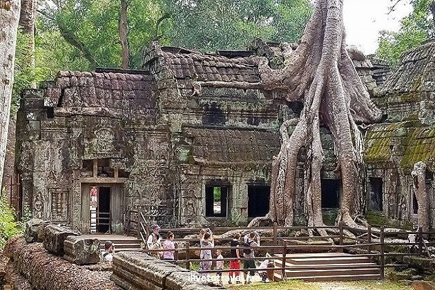 Ta Prohm - indochina family tour