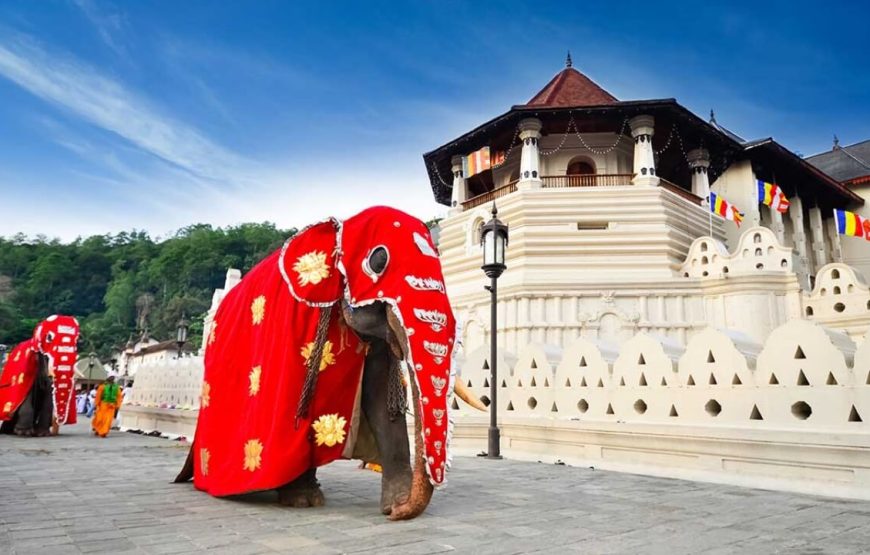 Sri Lanka Adventure Tour – 9 Days