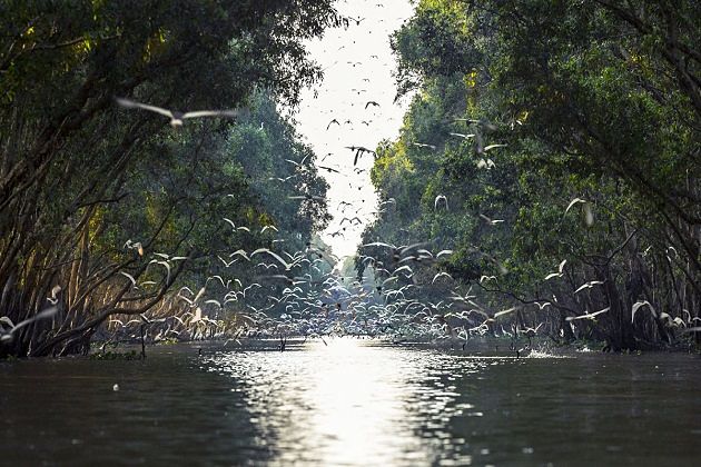 Tram Chim National Park - best indochina trip