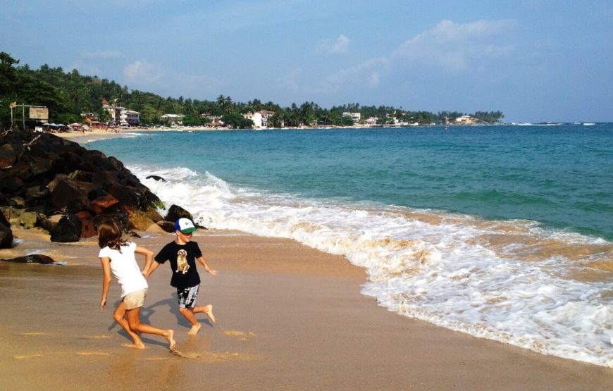 Epic History and Pristine Beaches in Sri Lanka – 16 Days