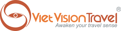 Viet Vision Travel logo