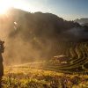 Vietnam In Depth - Vietnam vacation packages