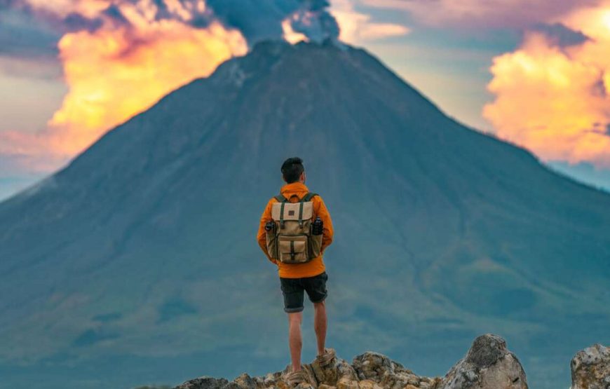 Sumatra Jungle Adventure – 9 Days