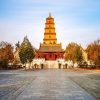 Wild Goose Pagoda - vacation to east asia