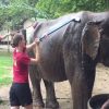 Wildlife Friends Foundation - family tour to thailand