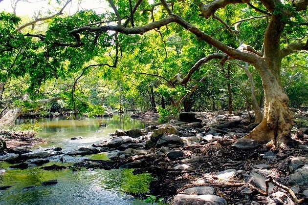 Wilpattu National Park - sri lanka 2 weeks budget