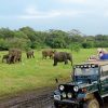 Yala National Park asia multi-country tours