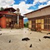 Zilukha Nunnery multi country asia tours