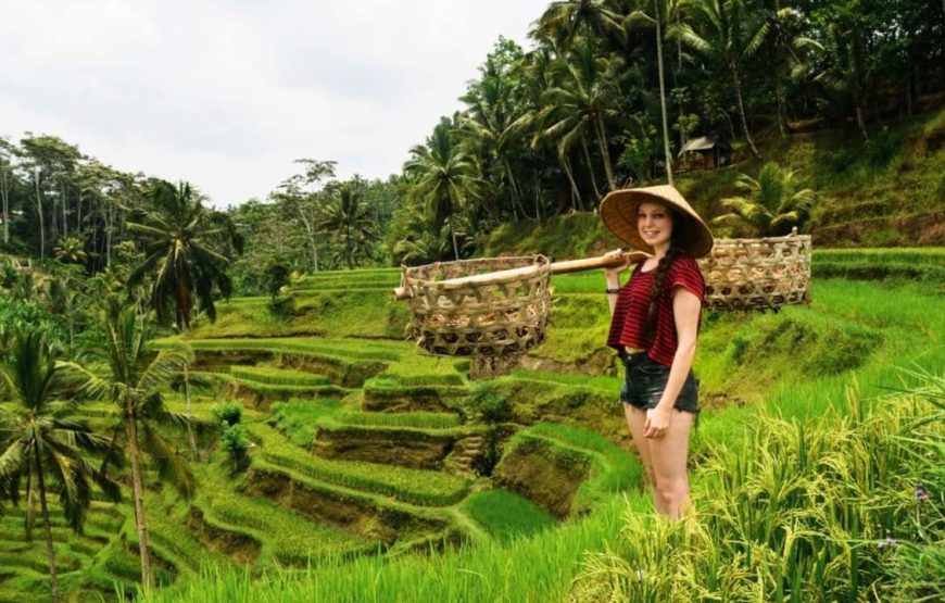 Bali Family Tour – 8 Days