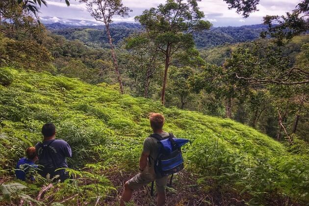 best borneo jungle tours