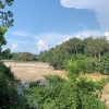 best nam cat tien national park tour