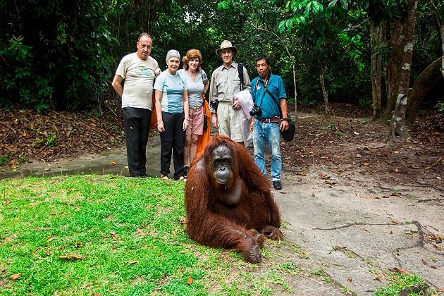 borneo rainforest - best southeast asia tours