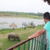 chitwan national park