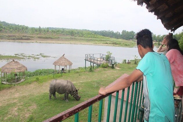 chitwan national park