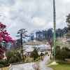 dochula pass - 6 days bhutan classic tour