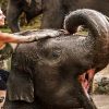 elephant bath - bali family tours