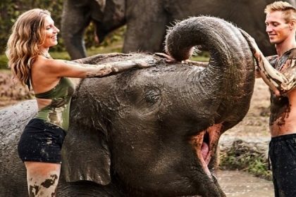 elephant bath - bali family tours