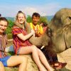 elephant safari