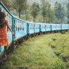 ella - perfect 2 week sri lanka itinerary