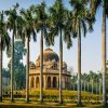 lodhi gardens - india wildlife tours