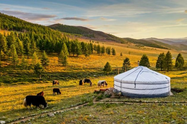 mongolia asian tour packages