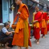 morning alms giving in laos