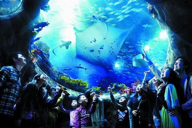 ocean park - hong kong tour package