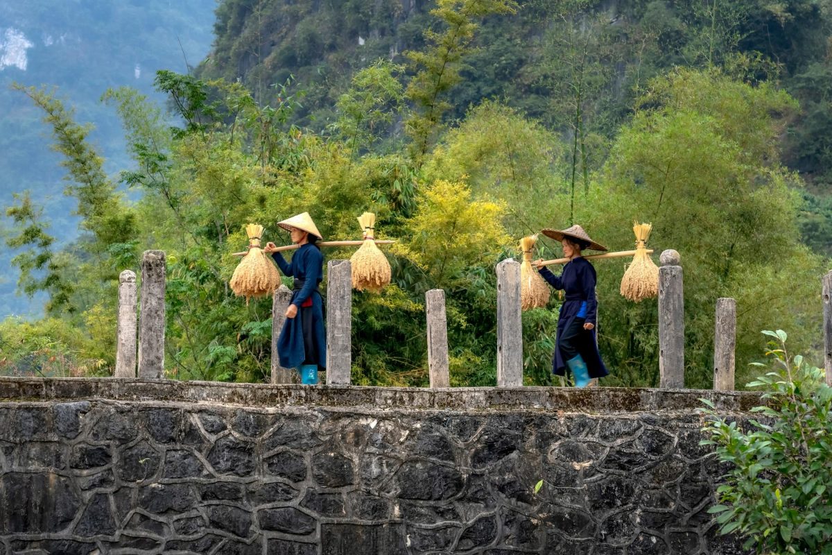 Multi-Country Asia Tour & Vacation Packages