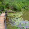 phu mong garden village in hue vietnam