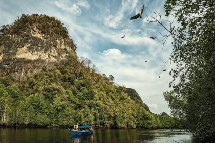 safari of Langkawi mangroves - malaysia 1 week travel