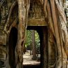 ta prohm in siem reap cambodia