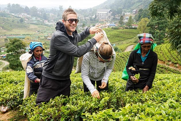 tea plantation - sri lanka vacation