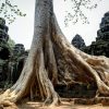 the temple of angkor wat
